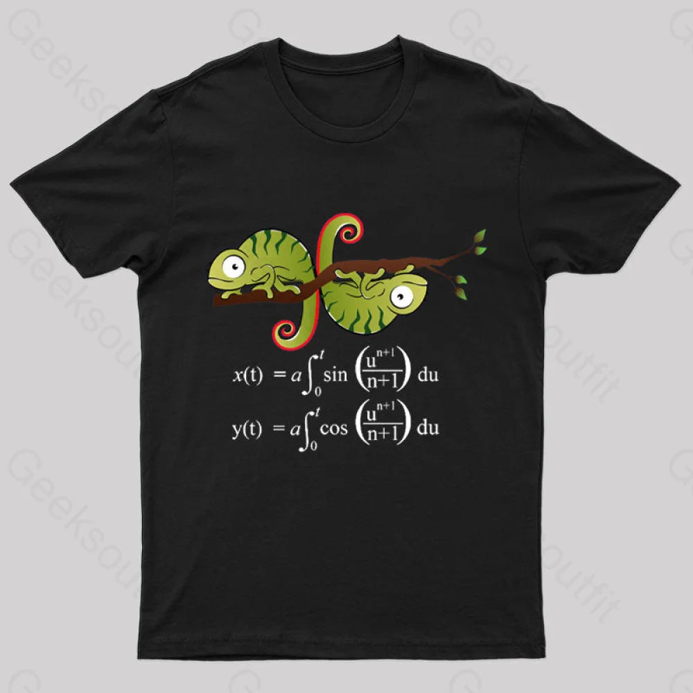 Euler Spiral Nerd T-Shirt Elegant Women's Formal 